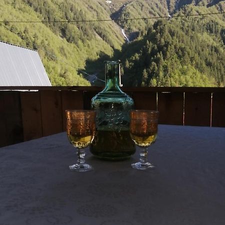 Sesili Guesthouse Adishi 外观 照片