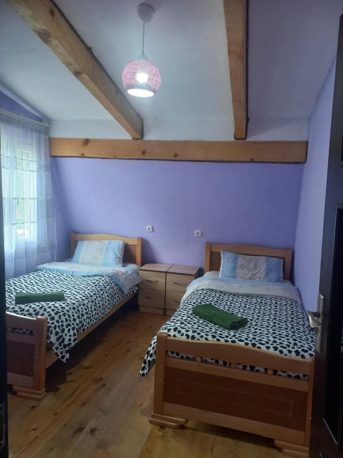 Sesili Guesthouse Adishi 外观 照片